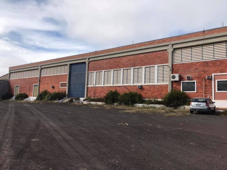 60809973_2042304996072644_4721133119548162048_n